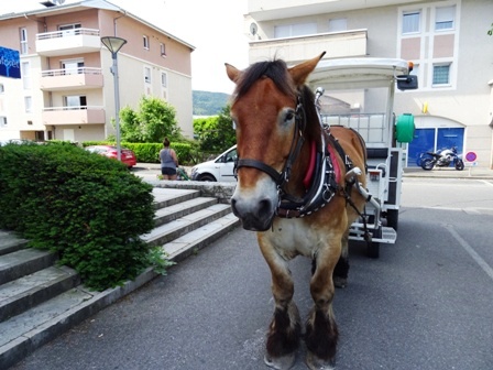 damier club du leman - dcl