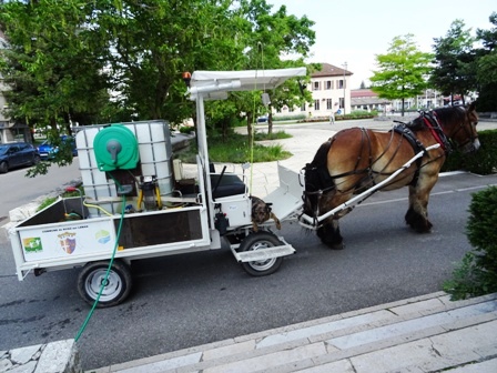 damier club du leman - dcl