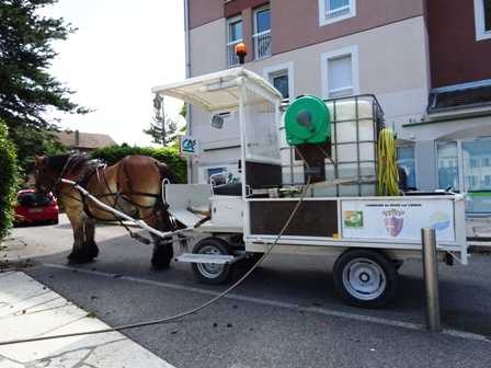 damier club du leman - dcl