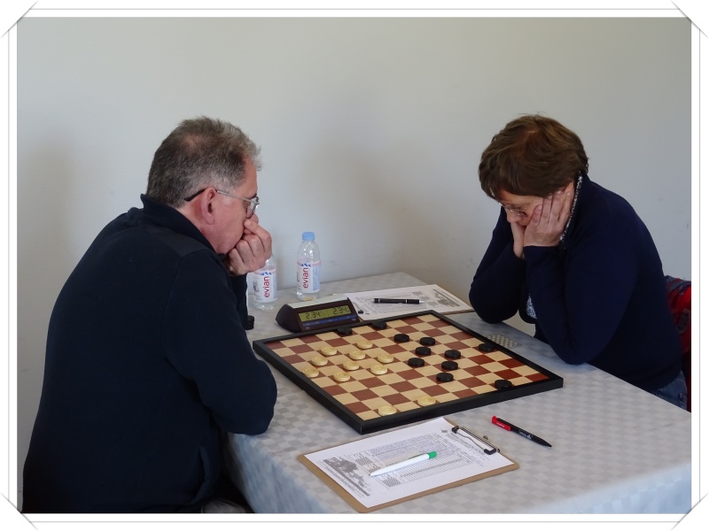 damier club du leman - dcl